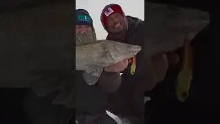 Хочешь ПОЙМАТЬ ЗДОРОВОГО СУДАКА? Мы научим! Курс ловли судака на вибы от Могучих Удмуртов!