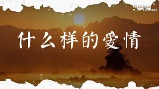 什麼樣的愛情 張陽陽 |pinyin|高音質|動態歌詞Lyrics