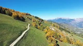 Couleurs d'automne 🍂🍁