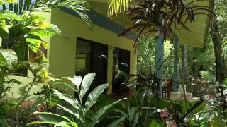 Nosara Paradise Rentals - Casa Neptune