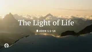 The Light of Life | Our Daily Bread | Daily Devotional