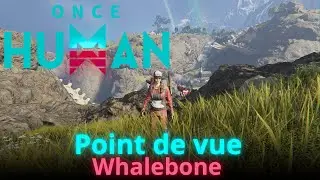 Point de vue : Whalebone | Once Human