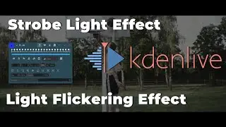 Strobe Light Effect in kdenlive in Tamil