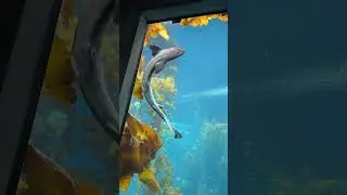 This is where I went for my Birthday trip!!!