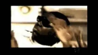 Notorious BIG - Hypnotize ( Tricky REMIX )