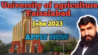 University of agriculture Faisalabad Jobs 2023 | Uaf jobs apply procedure| Captain Hero 544