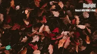 Heuse & WOLFHOWL & Riell - Daylight - Lyric Video 🎙️