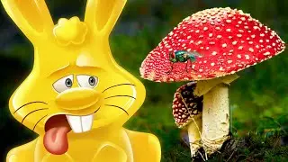 🍄ЖЕЛЕЙНЫЙ ЗАЯЦ ХАРИТОН И ГРИБЫ
