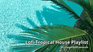 🔴 LOFI TROPICAL HOUSE PLAYLIST
