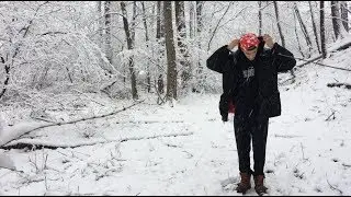 ANTwontstop - NO DISTRACTIONS
