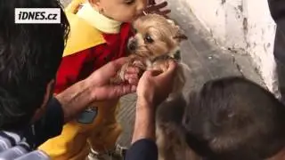 Imigranti v Bělé pod Bezdězem zahazují doklady do košů