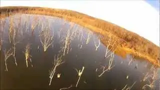FPV - Sunken Forest