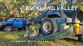 CAMPING in BUCKLAND VALLEY | FJ CRUISER | 3 Caravans a camper & 6 Dogs.