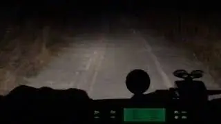 Ночная охота на косулю