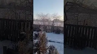 Отвечаю кто ждал ответа .