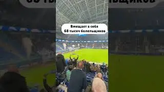 Ты этого точно не знал. Пять фактов о Зенит Арене. Виталий Питер