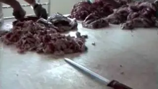 Carne da macello -  o animali da salvare? (capitolo 1 di 8: introduzione)