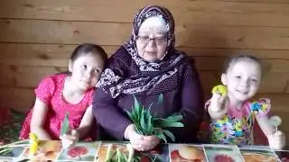 Тыуған яҡтың шифалы үләндәре