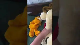 Garfield puppet wakes up #garfieldpuppet
