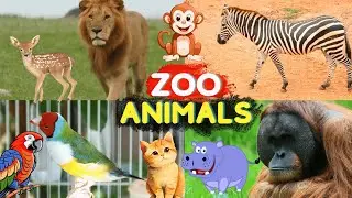 Zoo Animal Names and Sounds for Kids (Animal Names)