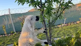 12 Mayıs 2024 haftalık video serisi🧿