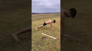 @animal 