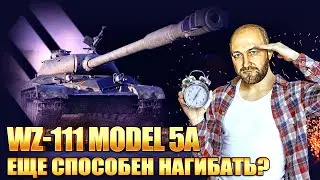 WZ-111 model 5A / Еще способен НАГИБАТЬ ?