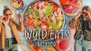 Camping & Culinary Adventures in Mexico | Wyld Eats | Presented by Gerber