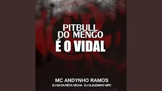 Pitbull do Mengo É o Vidal