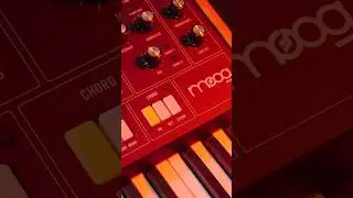 Steppin’ Outs With The Moog Muse Synth