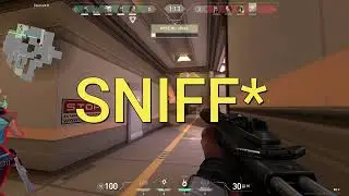 Valorant - When you are afk a few sec