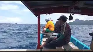 Ebek vs upro gokudo