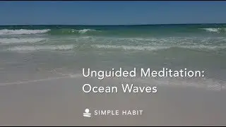 Ocean Waves | Relaxing Sounds for Sleep, Focus, Study, or Meditation | 1 Hour