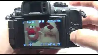 Panasonic G1/GH1: Portrait