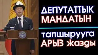 Нуржигит Кадырбеков МАНДАТЫН тапшырып: 