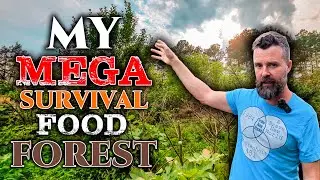 My MEGA SURVIVAL  Food FOREST! • 5 YEARS In The MAKING! • Food Forest Tour 2023!