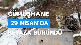Gümüşhane Nisan ayının son günlerinde beyaz gelinliğini giydi