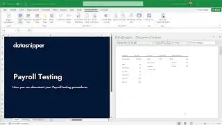 DataSnipper 4.1 -  Extracting data per page or line with Form Extraction