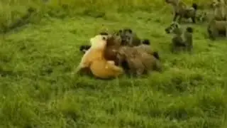 اهداء لكل اخ عزيز