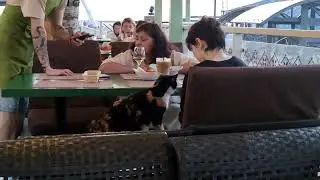 Обычный вечер в Зеленоградске