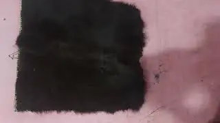 Piongrig and Gunga, traditional musical instruments of Nyishi tribe.