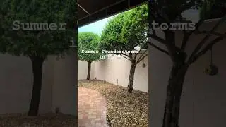 Summer Thunderstorm ⛈ In Florida