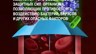 Укрепляем иммунитет!