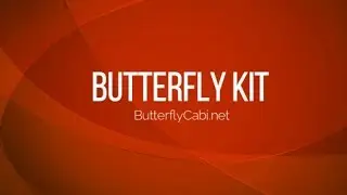 RainyDayDreamers - Caterpillars Arrive- Live Butterfly Garden | RainyDayDreamers
