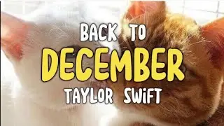 Taylor Swift- Back to December [Lyrics Video]