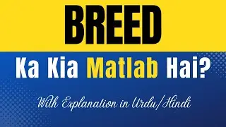 Breed Meaning in Urdu |'Breed Ka Kia Matlab Hota Hai'| Urdu/Hindi Explanation Included