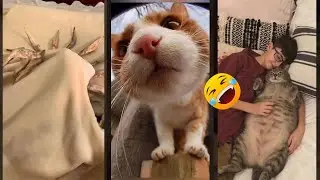 Funny Cats 2025 🐕 