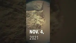 Mars Perseverance Rover Sol 252 #shorts #mars