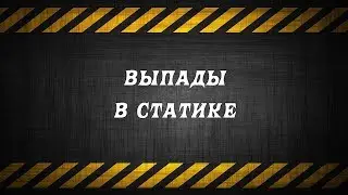 ВЫПАДЫ В СТАТИКЕ