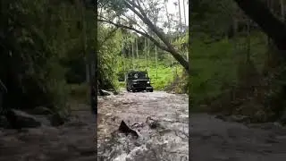 #Kerala #4x4 #offroad #jeep #waterfall #thar #shorts